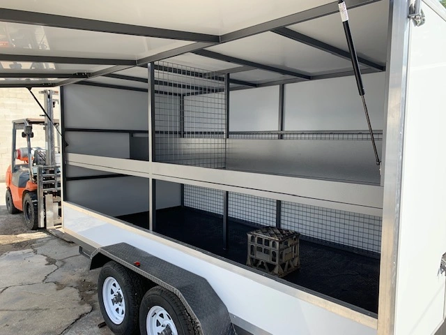 13x6x6 Shelf